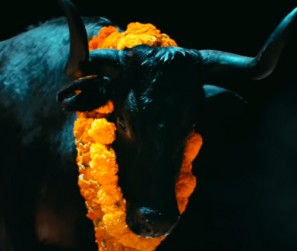 FOALS - Black Bull